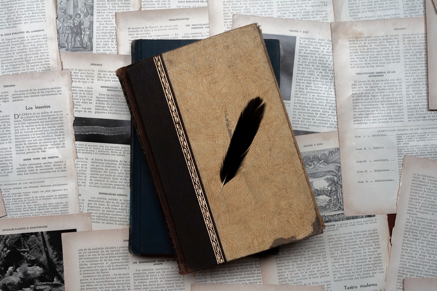 The Role of Academic Journals in Preserving History